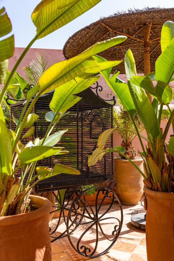 Riad L'Oiseau Du Paradis Marrakesh Buitenkant foto